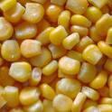 Corn Stover as Feedstock for Biofuels First generation Second generation Corn stover plentiful sources of