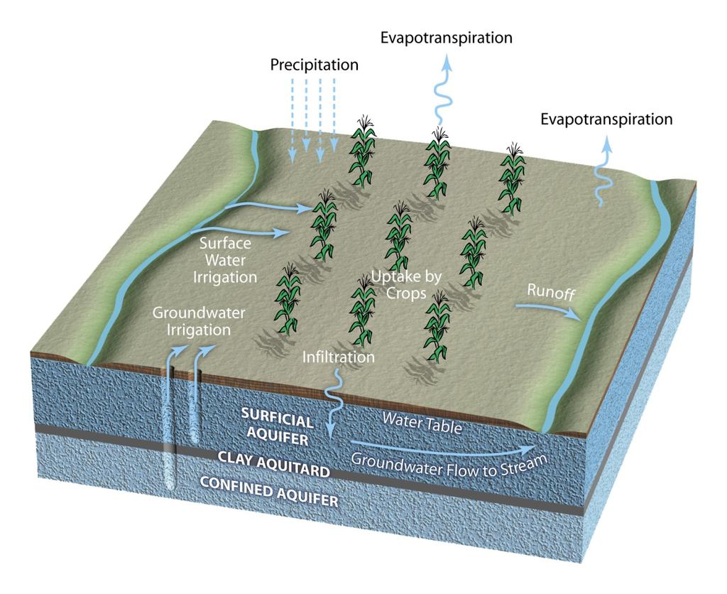 The Hydrologic Cycle for Irrigated Corn Additional