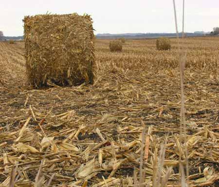 Cellulosic ethanol using corn stover (or wood wastes)