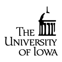 Projects at the Univ of Iowa CDI-Type II: Understanding