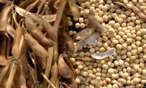 Biodiesel from soybean oil, waste fats and oils qualifies as Biomass Diesel or