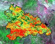 development of NPS fire atlases USFS/DOI BAER Programs Landsat TM/ETM data