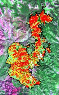 w/metadata Geographic centroid of burned area for each mapped fire Fire and MTBS processing attributes Thematic Burn