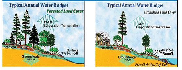 Figure 2. Differences in annual water budget from natural land cover to urbanized land cover (Source: May, University of Washington).