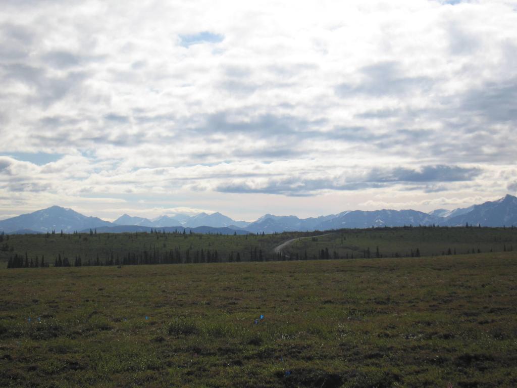 Insights from Observations Permafrost thaw increase C uptake, but increase C release at a greater rate over time Land