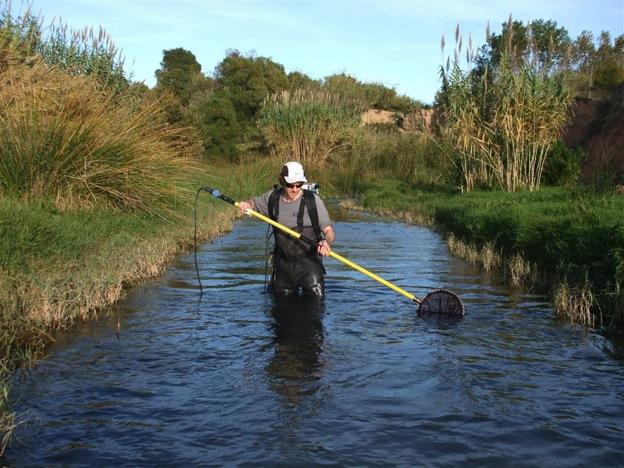 Development and evaluation of a fishbased index to assess biological integrity of Mediterranean streams.