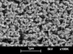 Microstructural Evolution of Sintering nanosilver