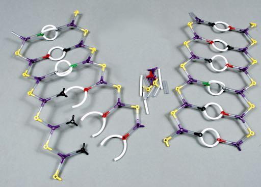 Super Models Deoxyribonucleic Acid (DNA) Molecular Model Kit Copyright 2015 Ryler Enterprises, Inc. Recommended for ages 10-adult! Caution: Atom centers and vinyl tubing are a choking hazard.