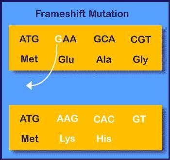 Gene Mutations: Frameshift mutation = 2.