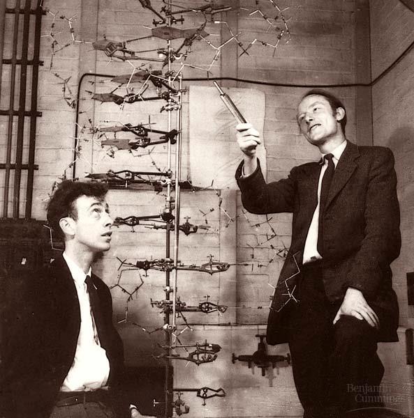 1953 1962 Structure of DNA James Watson