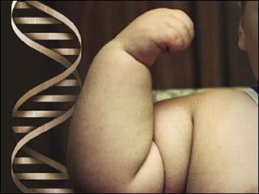 Mutation : changes in DNA sequence that affect genetic information Gene mutations: