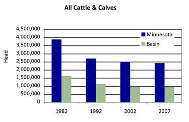 Beef The number of beef cattle farms and herd size in Minnesota declined between 1982 and 2007 with only a small increase in average herd size (23 to 28