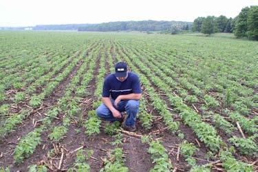 One of these practices is conservation tillage, defined as any tillage and planting system that covers 30 percent or more of the soil surface with crop residue, after planting, to reduce soil erosion