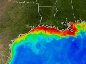 Gulf of Mexico algal blooms Size of the Gulf of Mexico Dead Zone Area of Mid-Summer Bottom Water Hypoxia (Dissolved Oxygen <2.