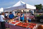 The number of farmer s markets in the New Ulm Farmer s Market Minnesota has tripled in the past five years with close to 130 operating in both rural communities and metro areas.