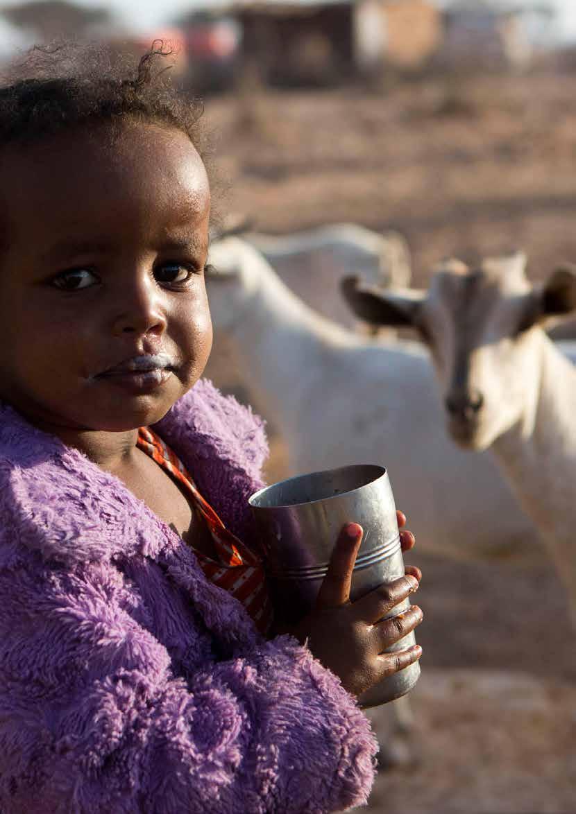 A girl drinks goat milk at a camp for internally displaced people on the outskirts of the village of Qardho in Somalia.