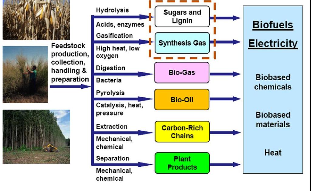 Biofuel in Transport Fuels -