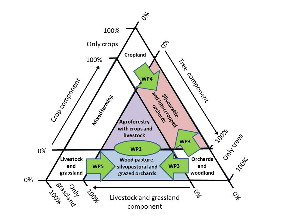 identifying opportunities to benefit from interactions of trees with livestock and/or crops.