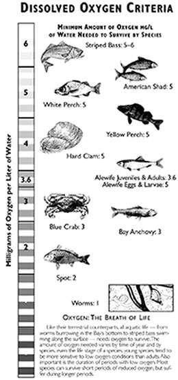 2. Abiotic Factors in Fresh Aquatic Ecosystems (p104) 6 1.