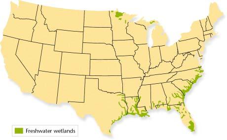 Figure 6 This map shows the locations of large freshwater wetlands in the United States.