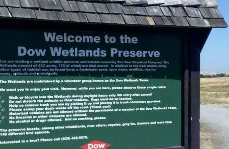 Wetland Delineations Environmentalists