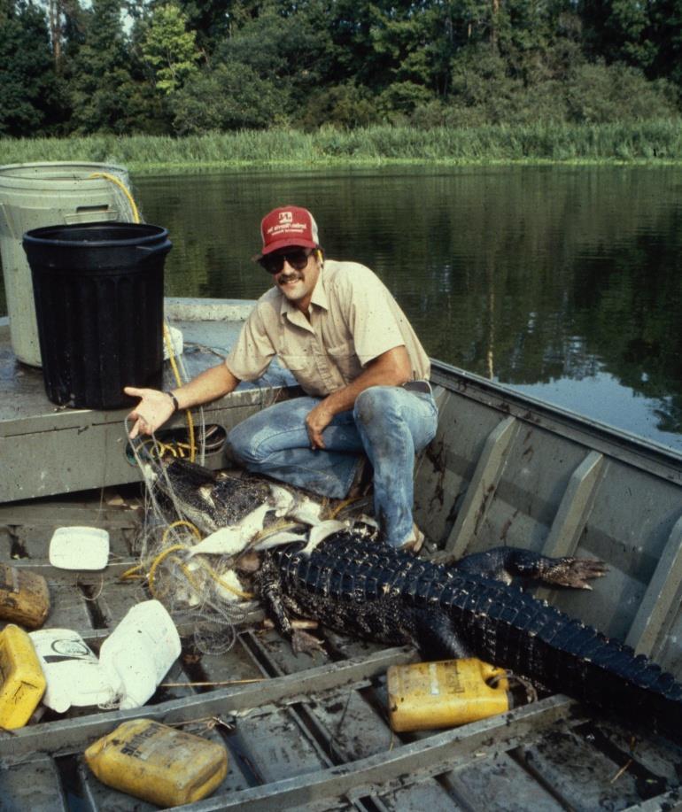 Observed Alligators/km Alligator survey data from 60 Florida lakes 50 40