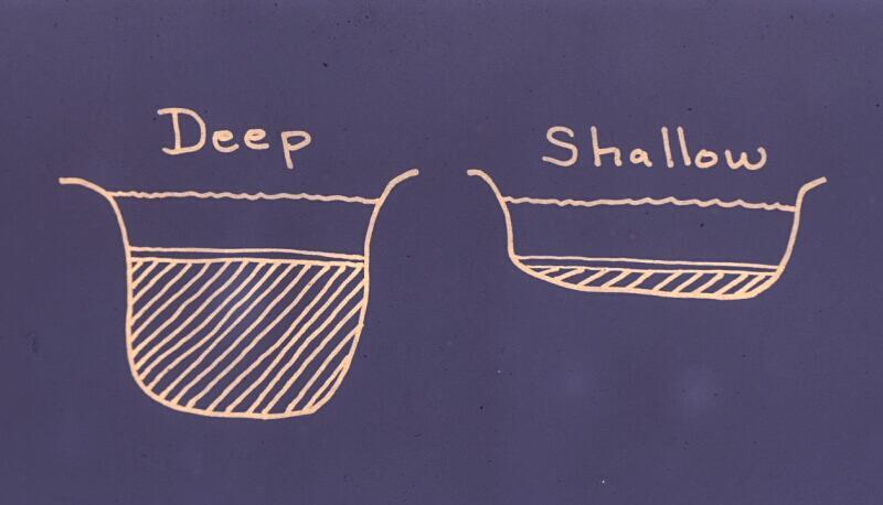 Cross-sections of Deep and Shallow Lakes Bad Water:
