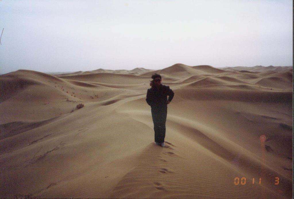 Kubuqi desert is the seventh biggest desert in China.
