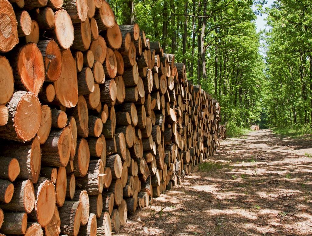 A PROFILE OF THE SOUTH AFRICAN FORESTRY MARKET