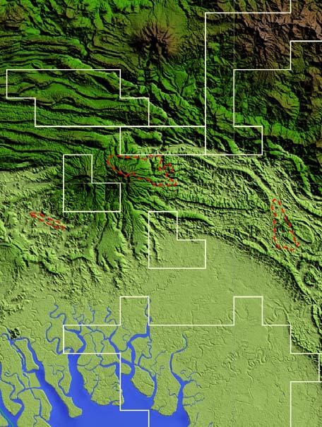 PPL277 7 S 2D Seismic 2013 Lines Onshore Gulf of Papua: seismic being acquired PPL339 Triceratops Elk/Antelope Seismic programme in PPL underway as part of Oil Search farmin