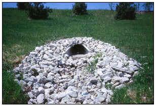 4. ENERGY DISSIPATION RIPRAP Energy dissipation riprap includes both loose riprap stones and hardened (grouted) riprap.