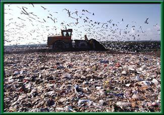 Land pollution Trash, or solid waste, is made up of the cans, bottles, paper, plastic, metals, dirt, and spoiled food that