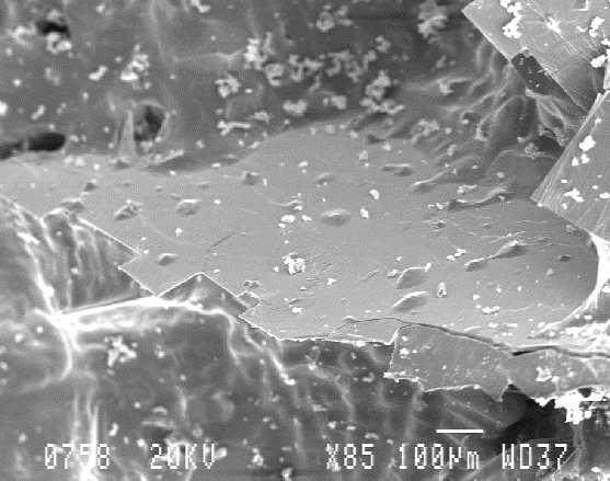 Figure 12: SEM micrograph showing a 3-D view of flake-like particles from the decanted sample. References [1] J.H. Sokolowski et al.