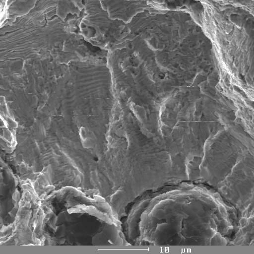 grains (see Fig. 7b) and partly by formation of fine striations with more multiple localization in sub diffusion zone (see Fig. 9). Fig. 9. Fatigue region with striations in nitrided specimen 3, SEM Fig.
