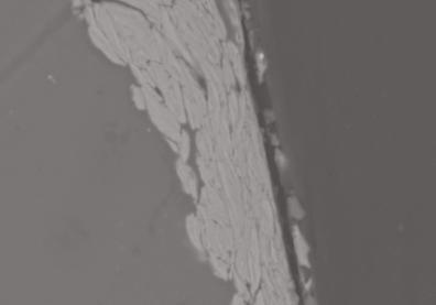 %li surface 100 µm surface (c)