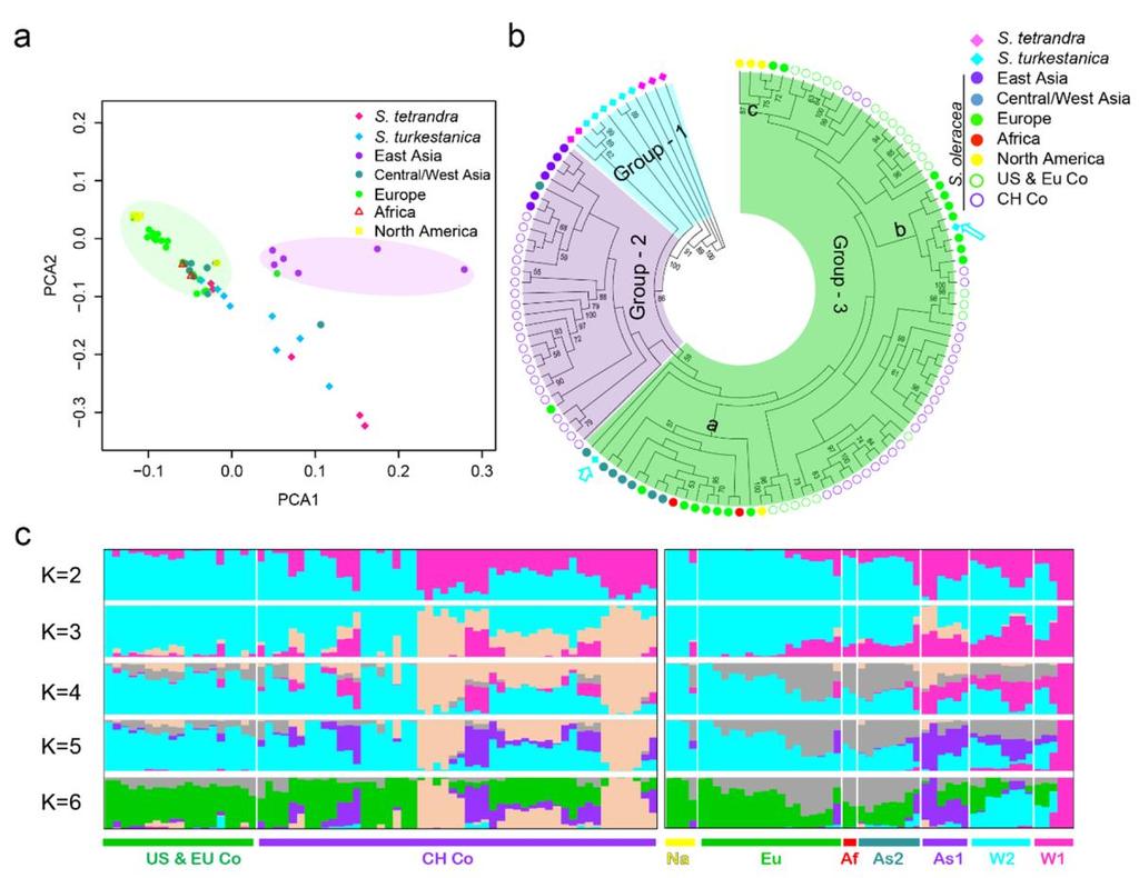 RNA-Seq applications Phylogenetic relationship, population structure Xu et al.