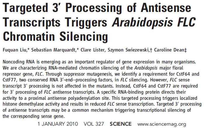 , 2003) trans-natural antisense transcripts (trans-nat) 1,320 trans-nat pairs in Arabidopsis (Wang