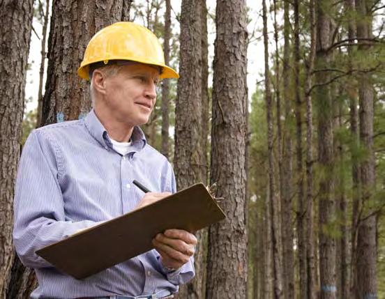 36 Cooperative Partnerships The Agenda 2020 Technology Alliance, a special project of AF&PA, works to advance breakthrough technologies for the forest products industry with a strong focus on