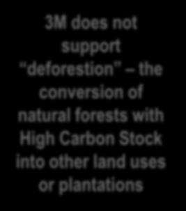 Land 3M does not support deforestion the conversion of natural forests with