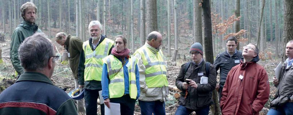GETTING INVOLVED For forest certification to deliver maximum benefits for the world s forests, it requires engagement and active participation from a wide range of stakeholders.
