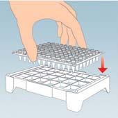 2 ml Multiply PCR tubes and pre-loaded PCR plates Secure and fast handling of Multiply tubes Flexible, two-piece system comprising work tray and support
