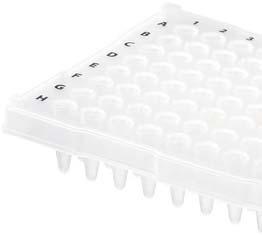 A B 1 C 2 D E 3 F 4 G H 5 6 7 8 9 10 11 12 A B 1 C 2 D E 3 F 4 G H 5 6 7 8 9 10 11 12 White and transparent PCR plates White and transparent PCR plates 96 Well Multiply PCR plate with half skirt and