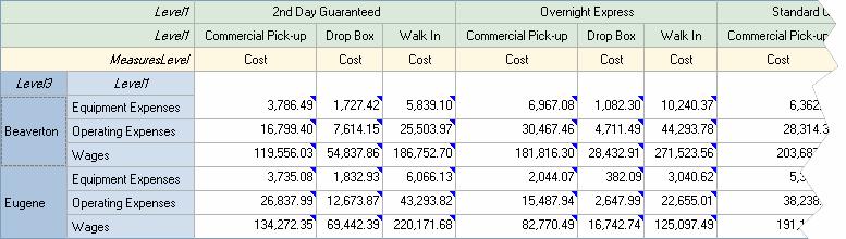 Drill down The table view should look like the following, showing the cost per channel for each product and service: Saving OLAP Views During the analysis, changes that you make to the Grid View,
