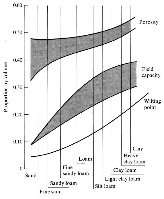 6-10 Porosity of most natural soils = Field capacity depends on the soil texture. Why? Dunne and Leopold (1978, Fig.