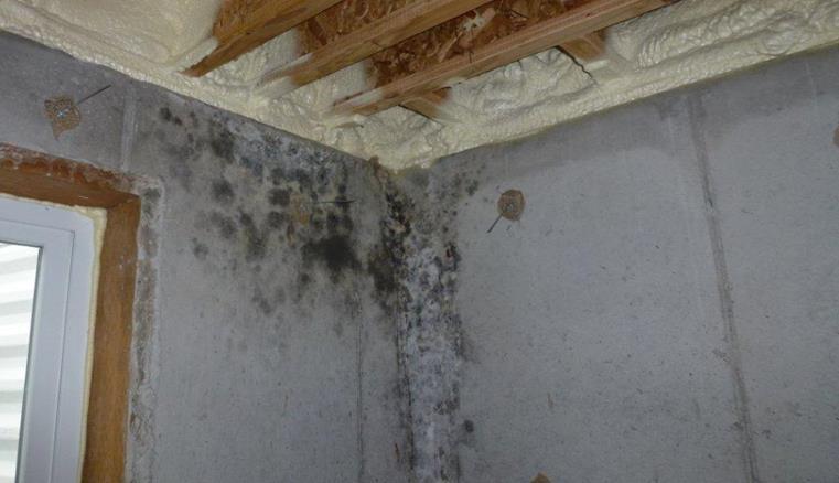 Q21. What is the best strategy for preventing mold? A.