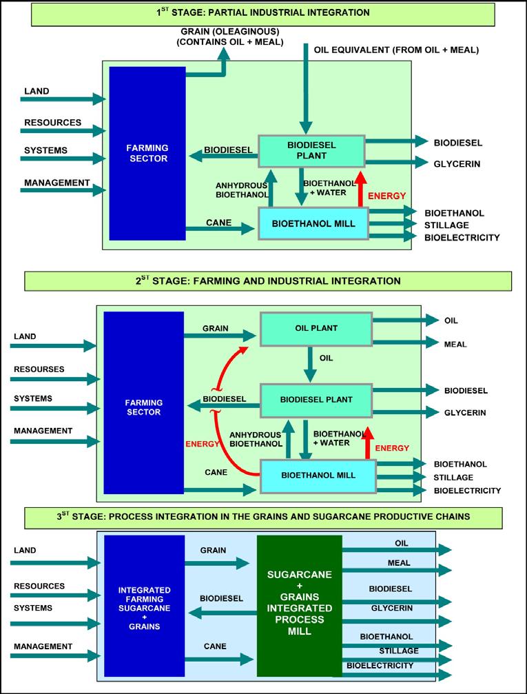 The Third BIO Biodiesel Biodiesel production integrated to the sugar, bioethanol and bioelectricity producing mill is also a technology with significant prospective impacts (Olivério et al., 2007).