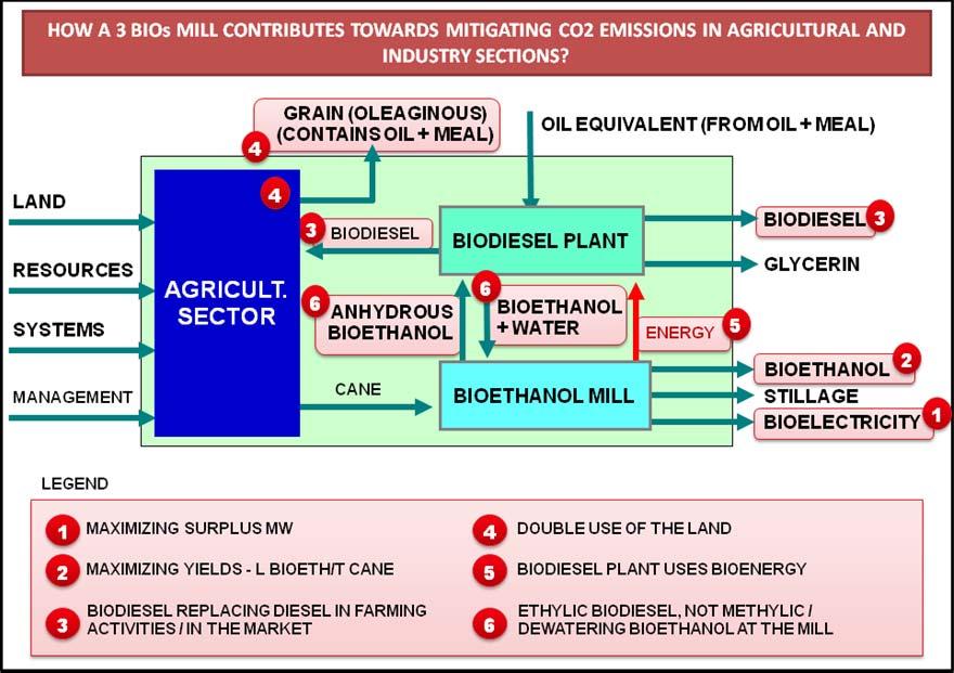 the renewable ethyl route instead of the methyl route, because the methanol traditionally used is from fossil source (bioethanol integrated to the sugar and ethanol mill); reprocessing of the surplus