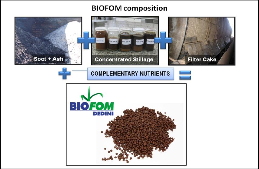 In this scenario, the DSM incorporates BIOFOM TR (organomineral biofertiliser), a fertiliser produced from the residues of the sugarcane processing and a solution to replace the mineral fertilisers