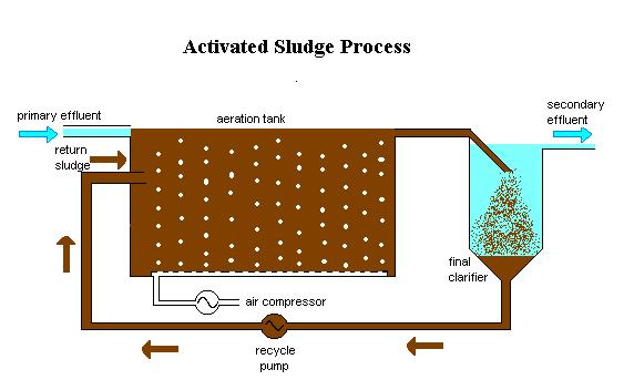 Microorganisms Use organic materials in wastewater as substrates Thus, they remove organic materials by microbial respiration and synthesis ML Concentration of suspended solids in the reactor Ranges