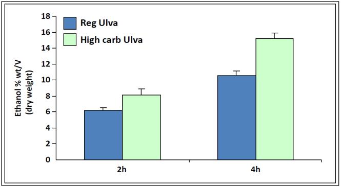 Bioethanol yield regular ulva Vs high carbohydrate ulva Effect of tailoring the carbohydrate content of ulva rigida on the ethanol yield (15 wt.